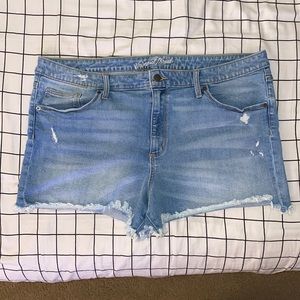 Plus size jean shorts